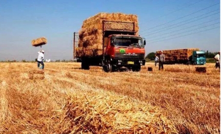 Как навоз и сельскохозяйственные отходы превратит в гранулы органических удобрений?