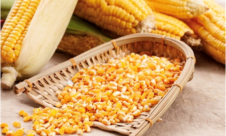 Как уменьшить материальные потери комбикормового завода